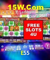E55 Rio de Janeiro - Slot Strategy