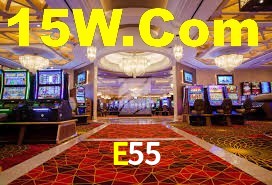 Bonus Features E55
