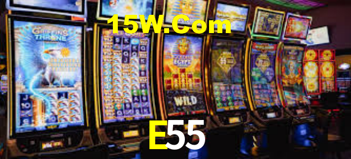 E55 - Installation Guide