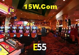 E55 Plataforma - Certificada MGA desde 2015