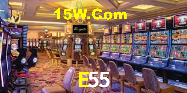 E55