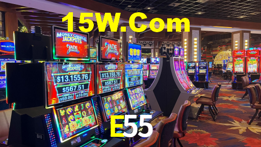 E55