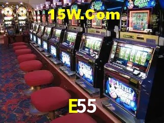 E55 - Security
