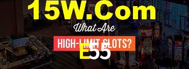 Premium Interface E55