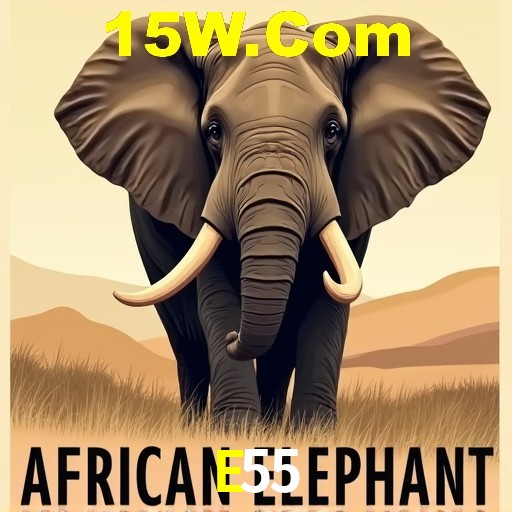 Descubra a Essência do E55: Nossa História e Compromissos