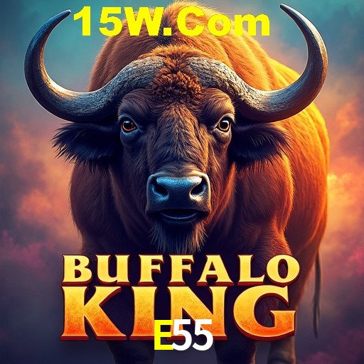 Descubra a Essência do E55: Nossa História e Compromissos