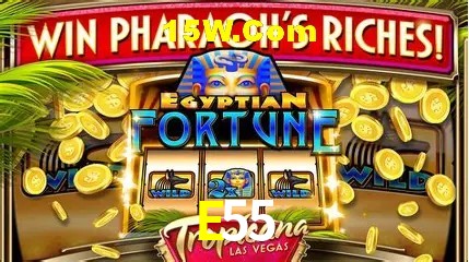 Integração de APIs E55