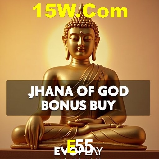 Interface do App E55